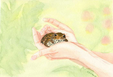 Watercolor of Pet Frog by Phyllis Recca