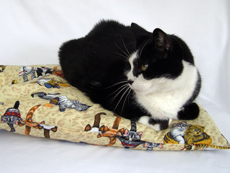 Hand Made PIllowcases for Pets